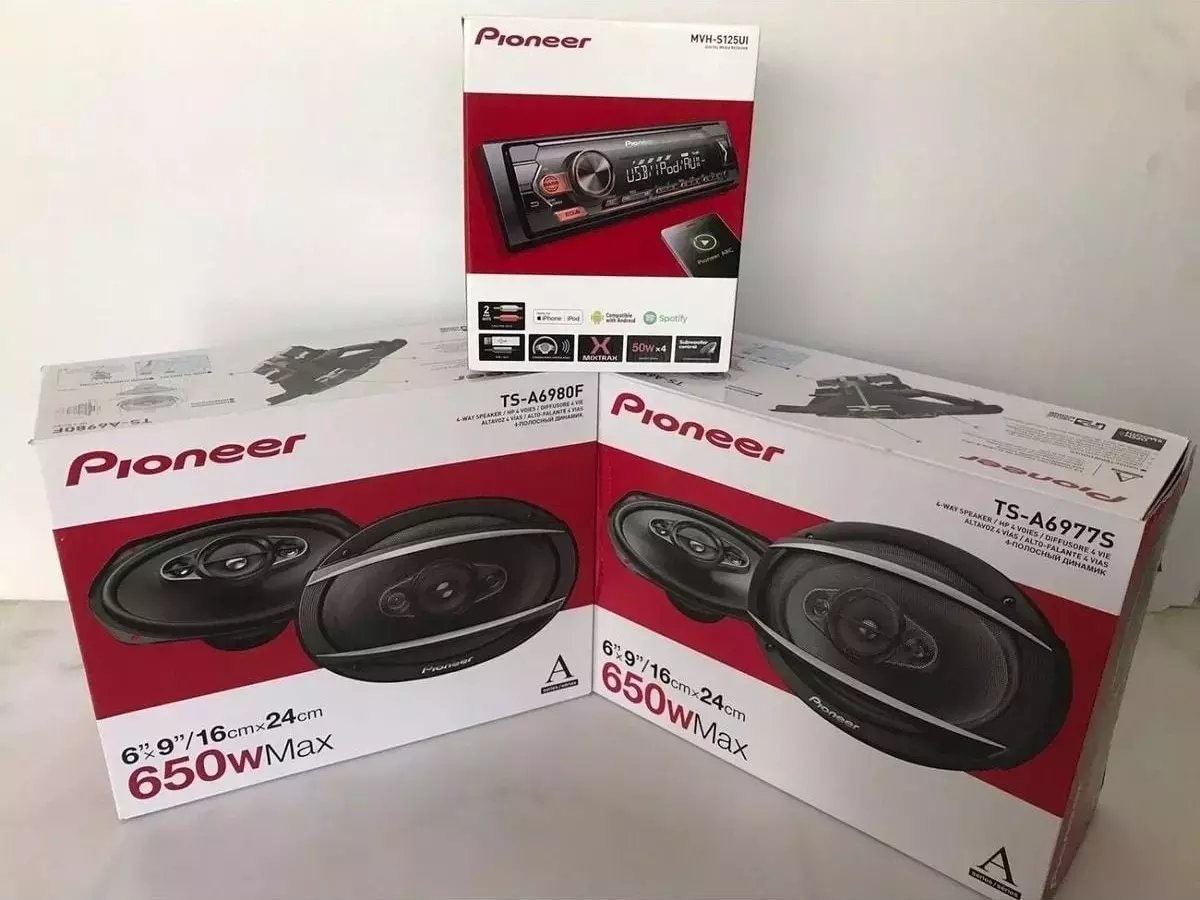 Pioneer Hoparlör